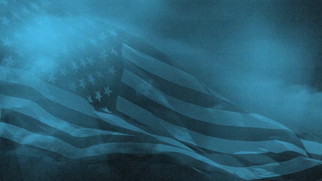 Veterans Day Flag 06
