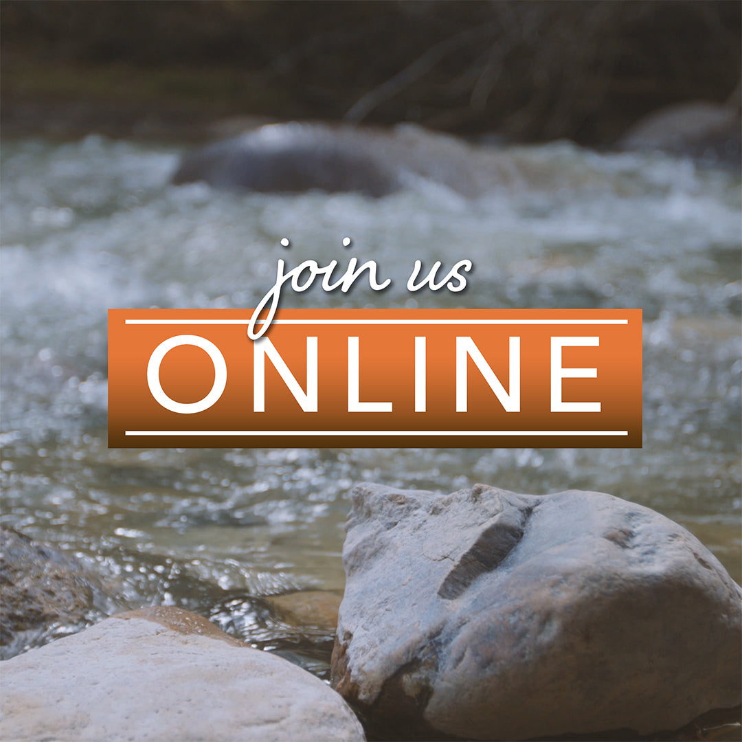Join Us Online Mountain Hike