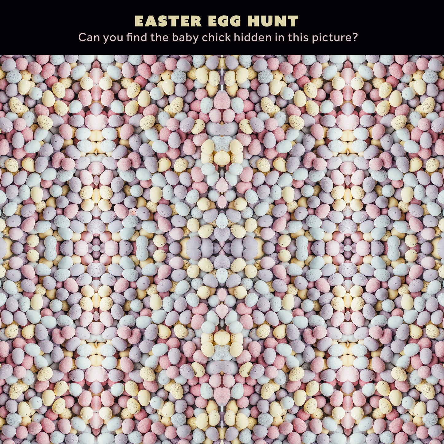 Easter Egg Hunt