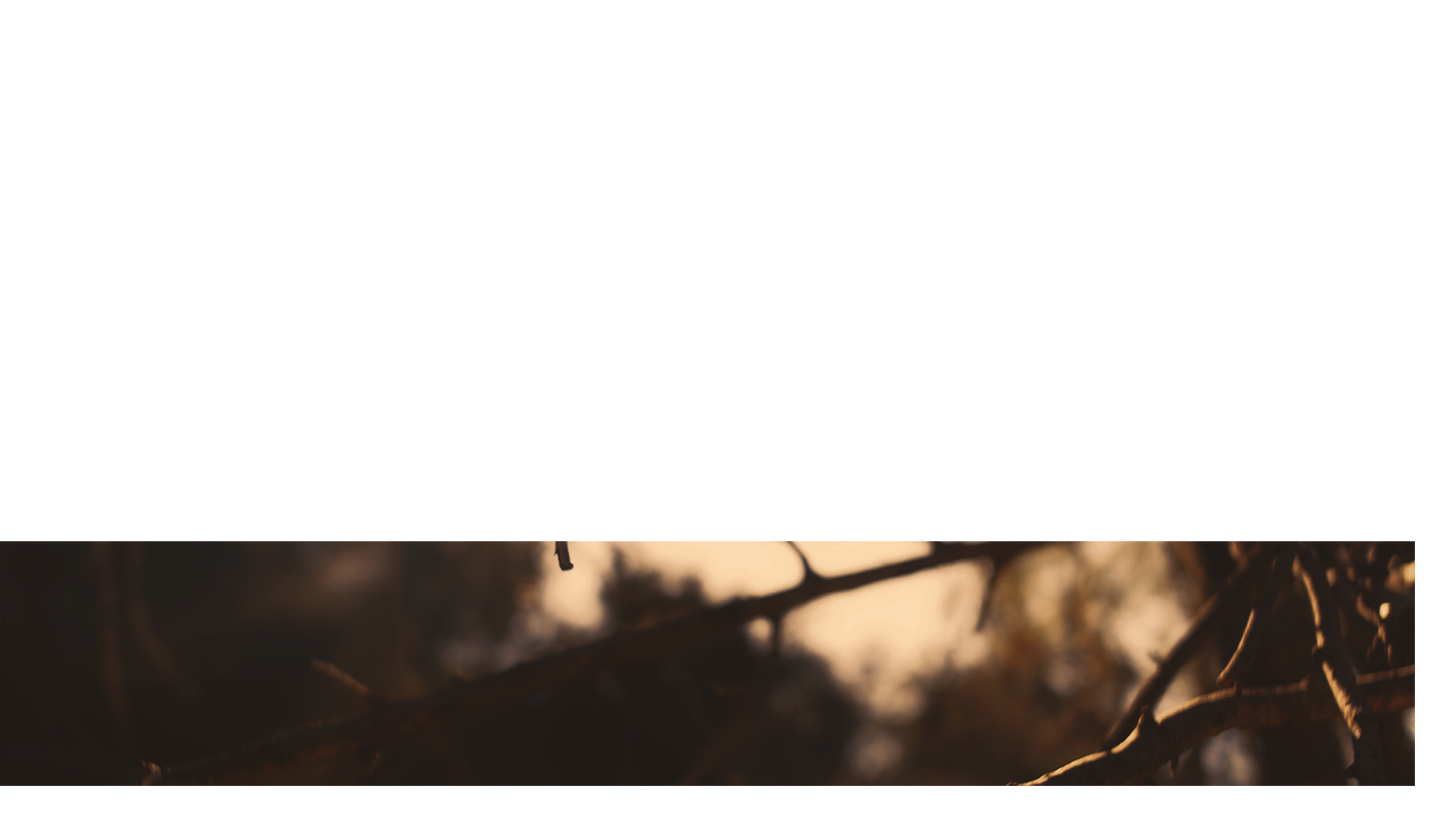 Autumn Dream Lower Third 3