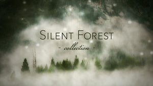 Silent Forest