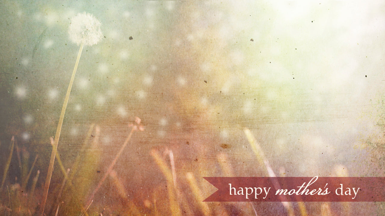 Dandelion Small Banner