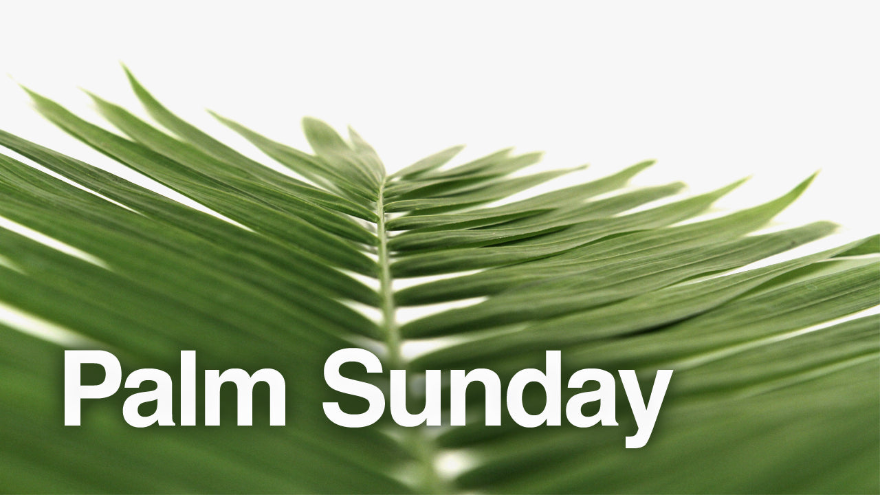 Palm Sunday White