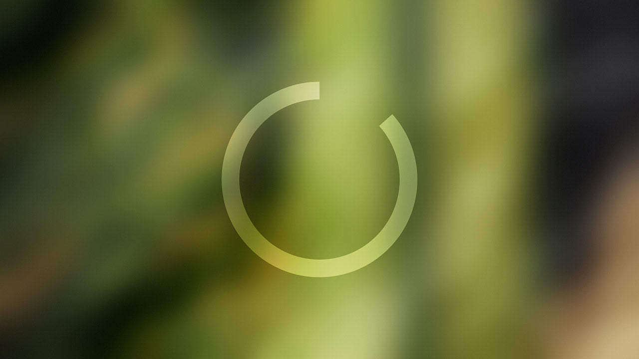 Q1 Announcements Countdown 30
