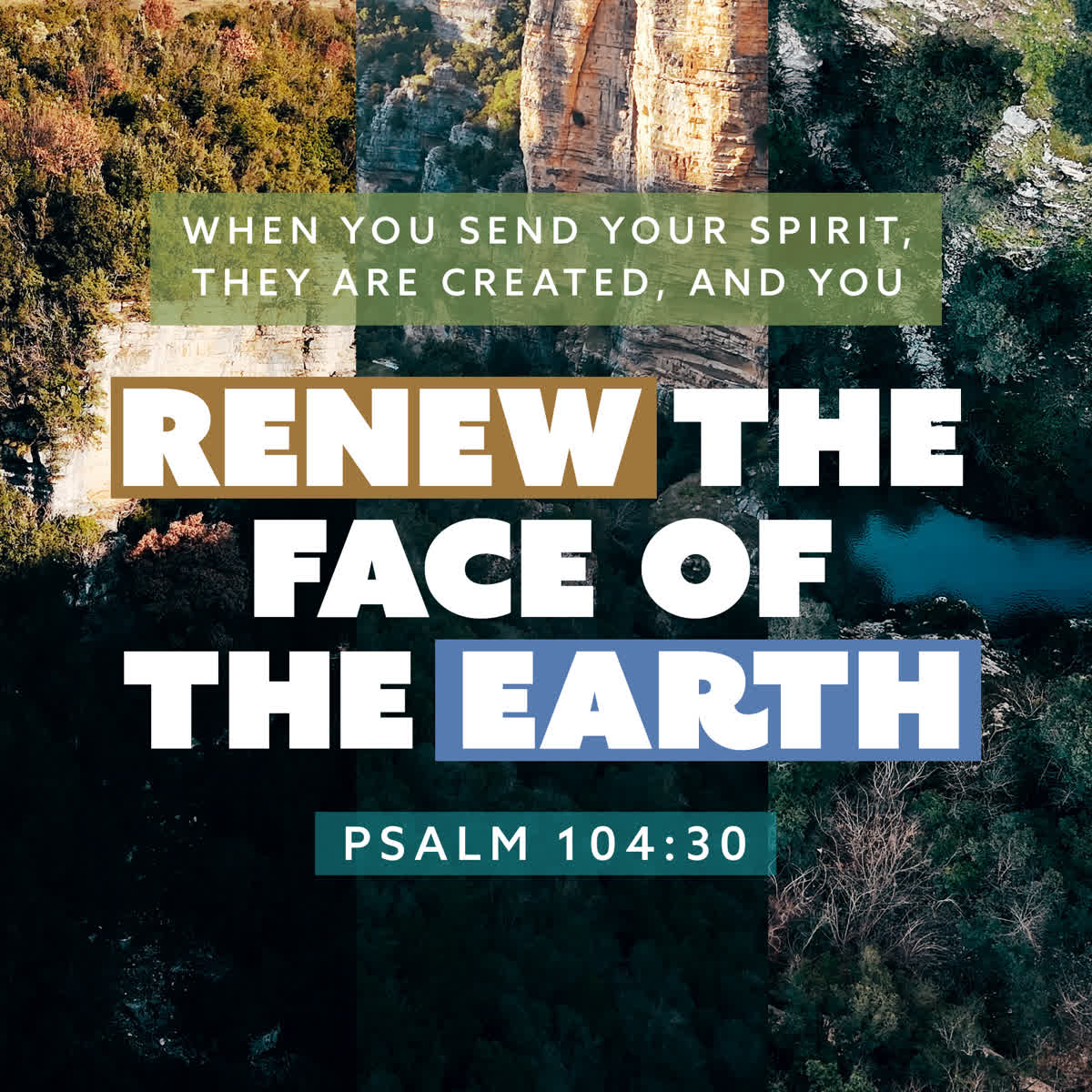 Spring in Osumi Scripture