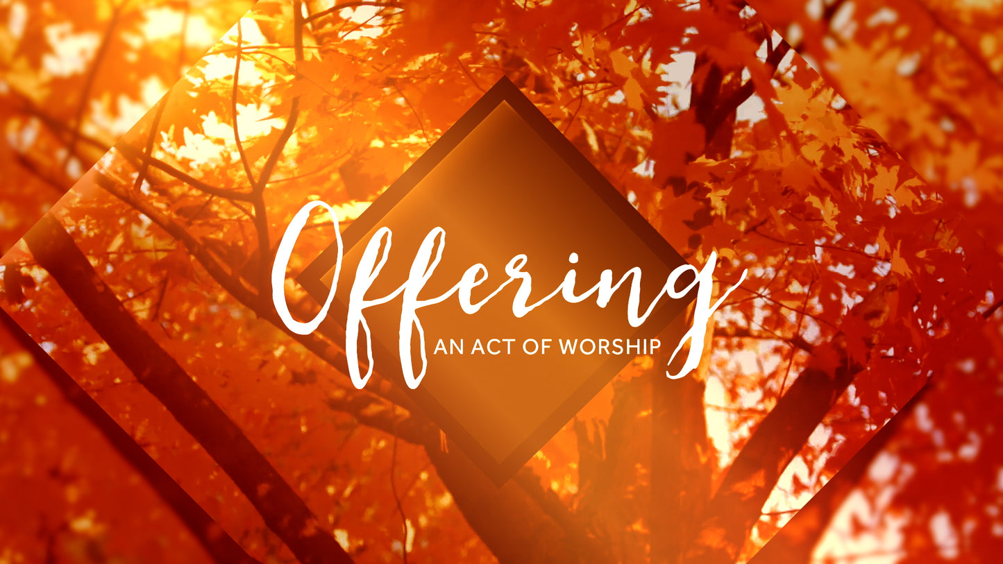Autumn Oasis Offering