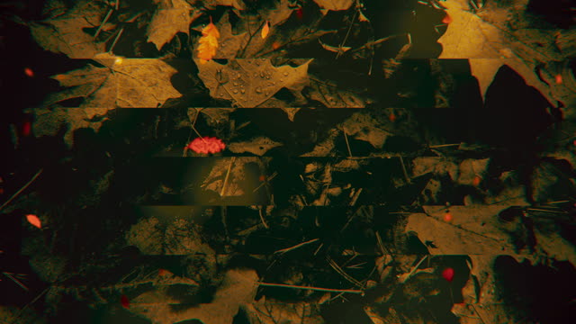 Autumn Memories 4