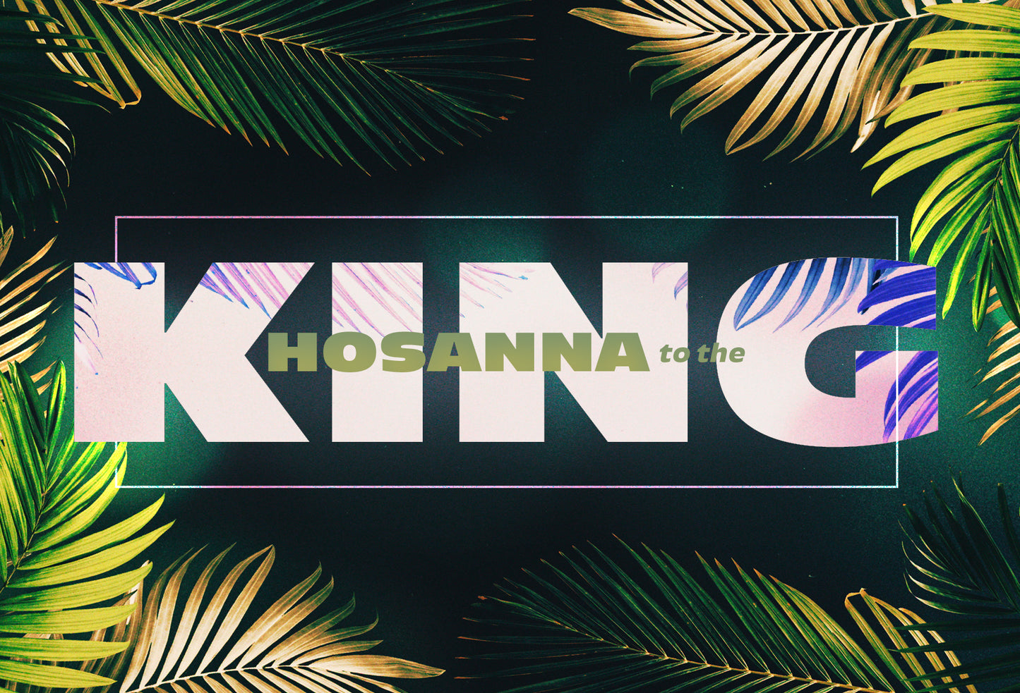 Vibrant Palms 4x6 Postcard