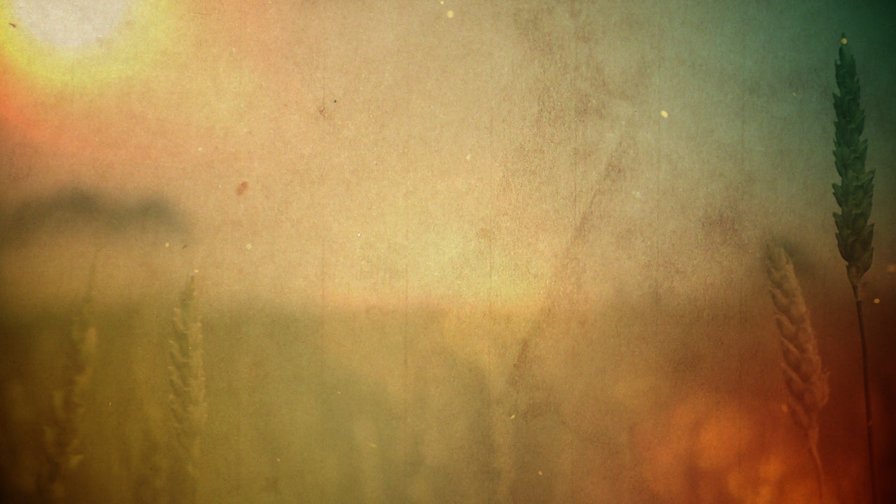 Thanksgiving Welcome Blank Still