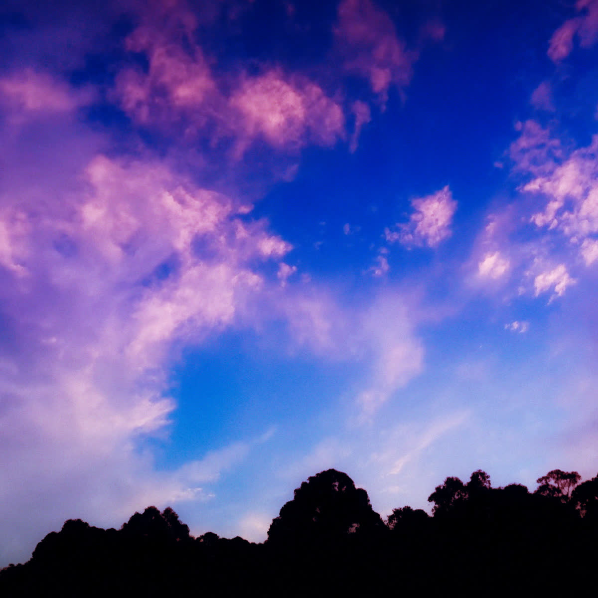Dramatic Horizons Pray Blank