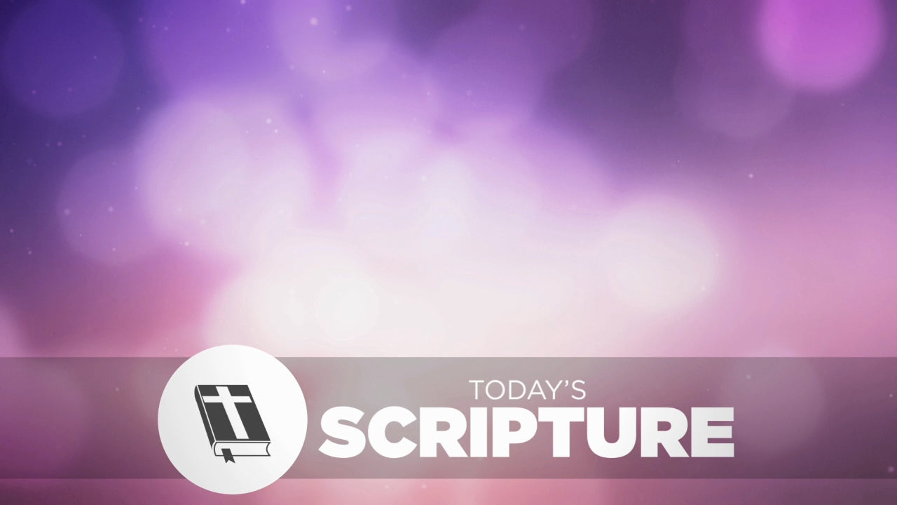 Spring Bokeh Scripture Still