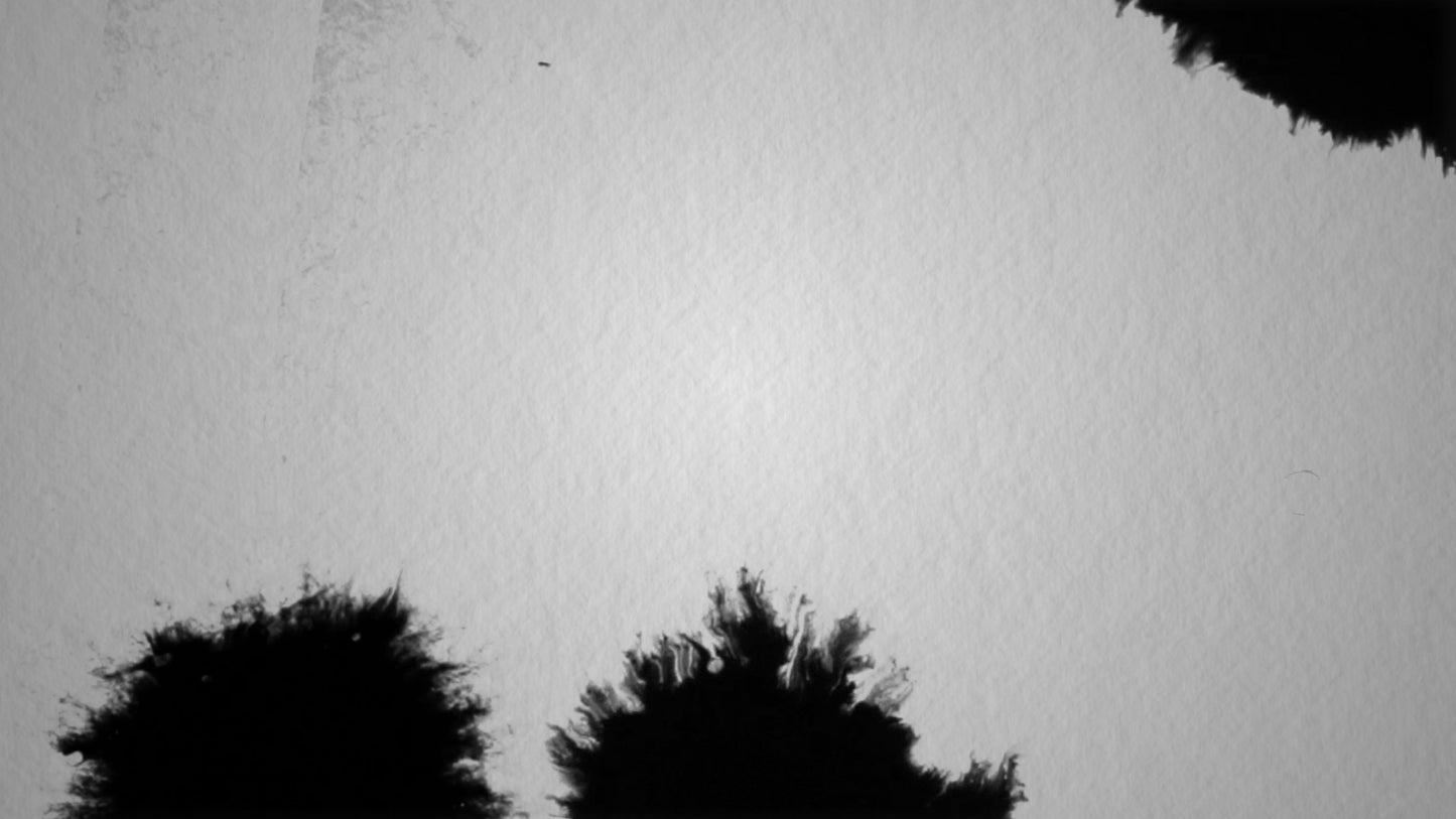 Paper Drops Black