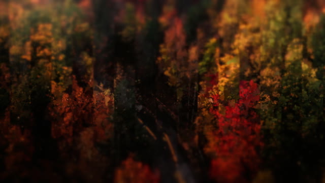 Autumns End 1