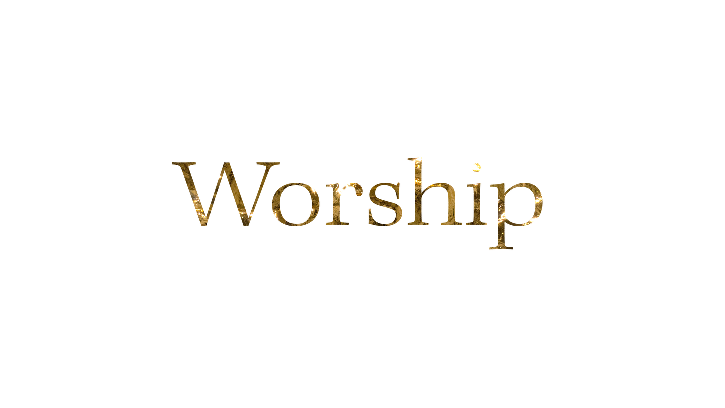 Nativity Manger Worship