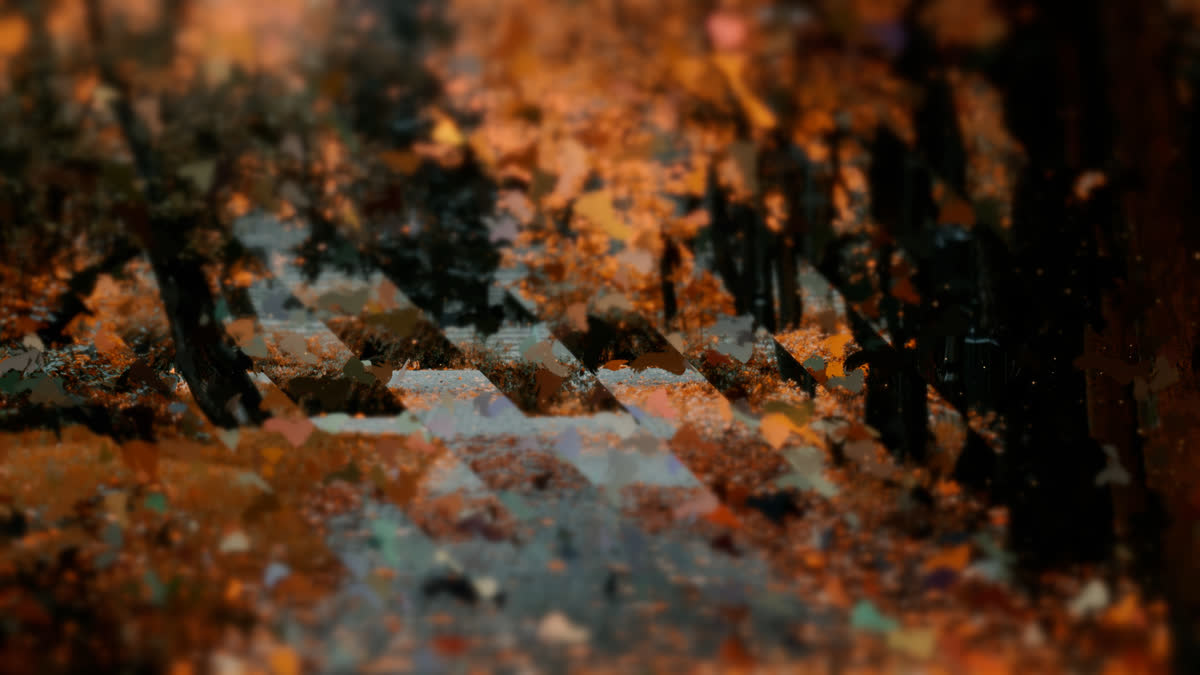 Autumns End 2