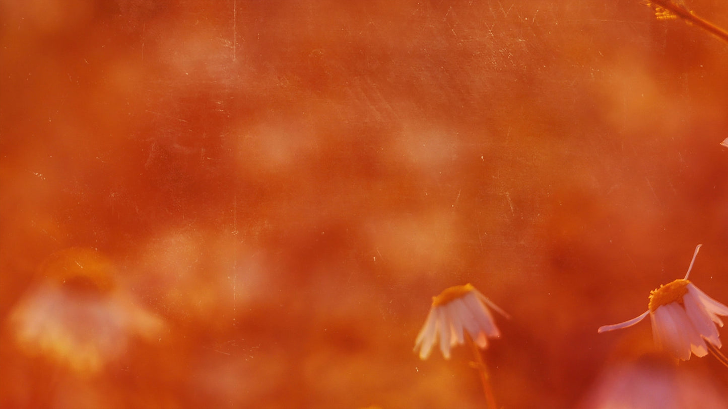 Autumn Blur Orange