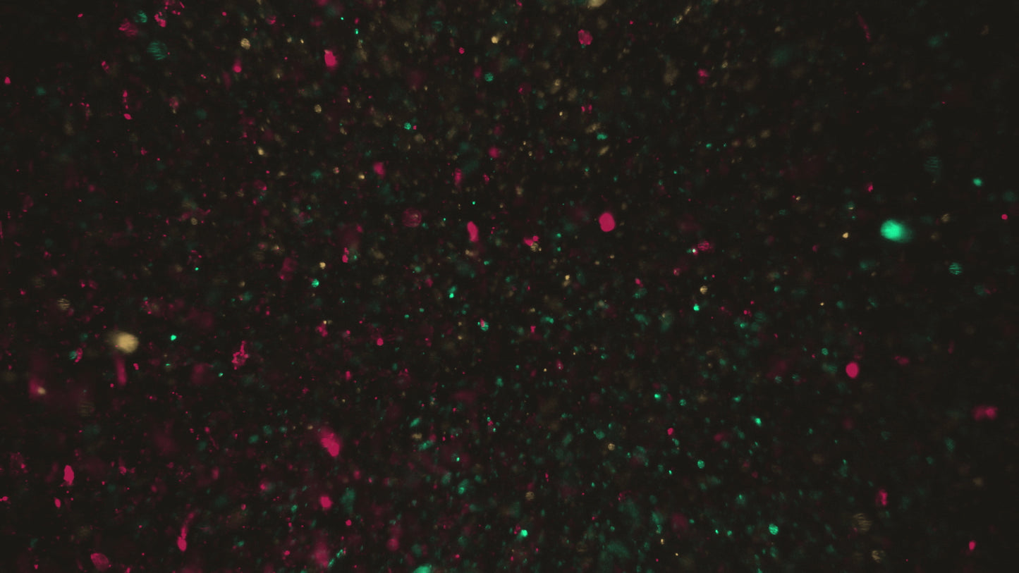 Christmas Glitter 15 Still