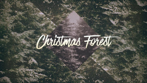 Christmas Forest