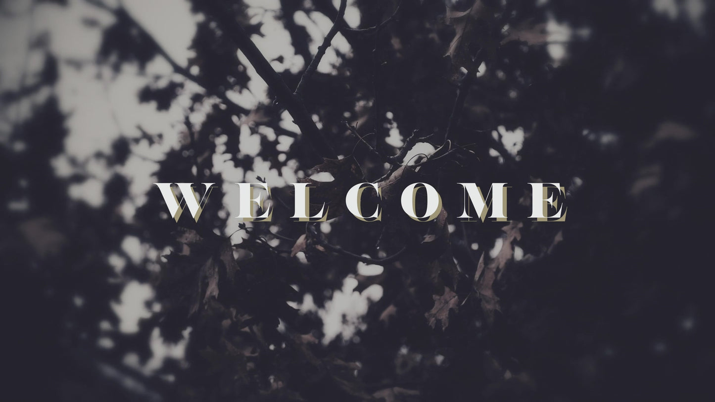 Bleak Beauty Welcome