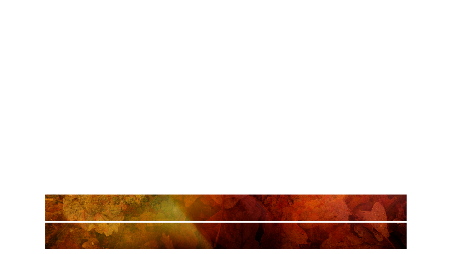 Subtle Fall Lower Third Blank 02