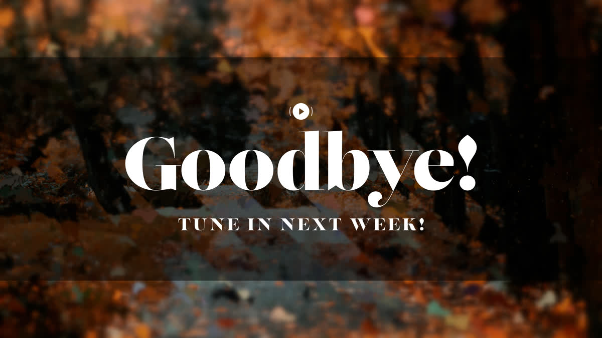 Autumns End Exit Stream