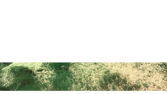 Summer Ocean Lower Third 4