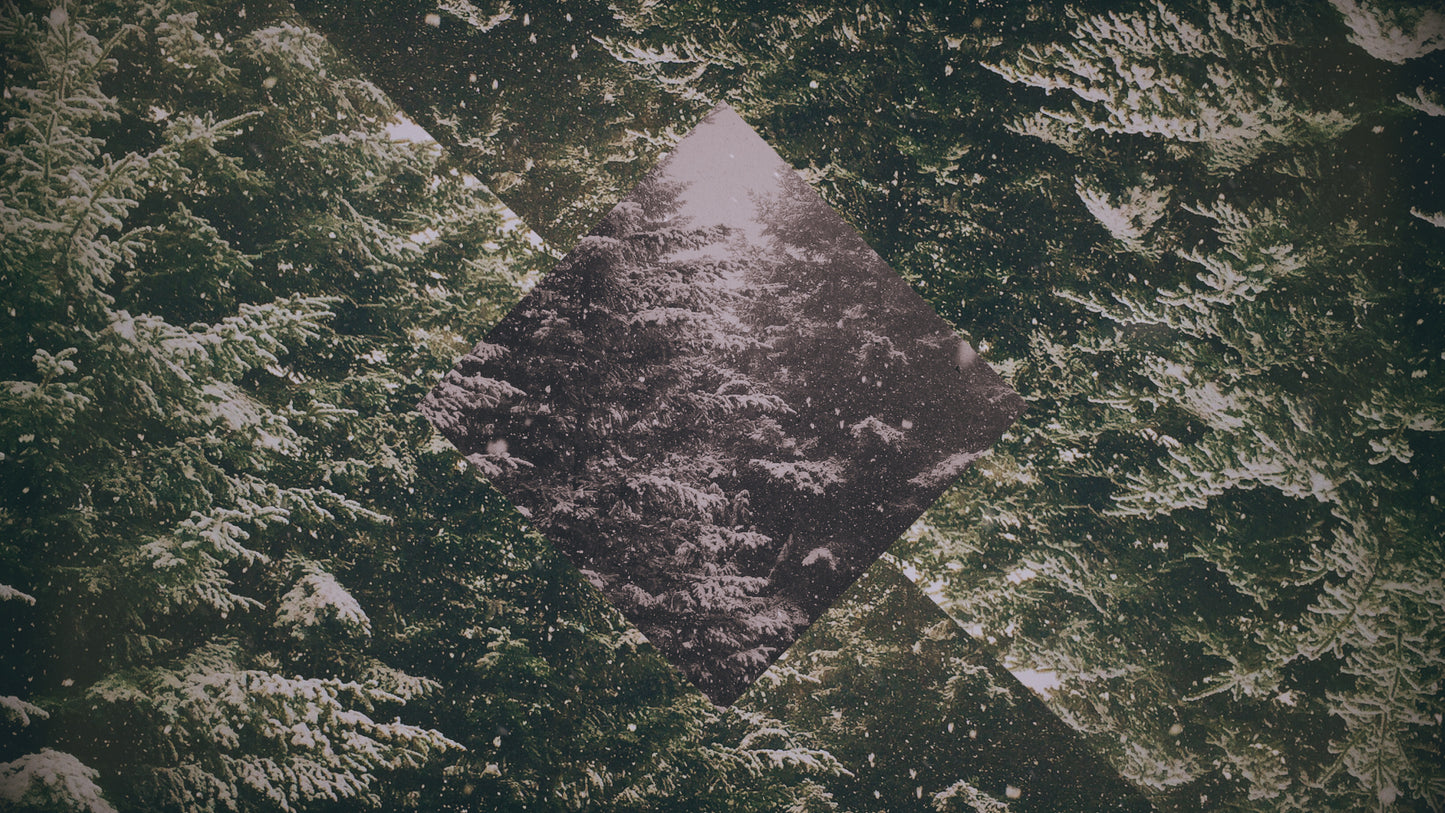 Christmas Forest 03 Still