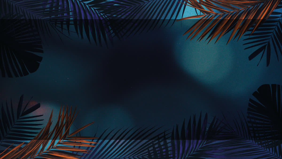 Vibrant Palms 3 Alt