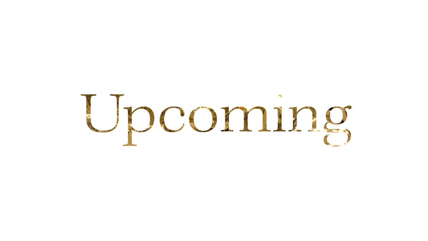 Nativity Manger Upcoming