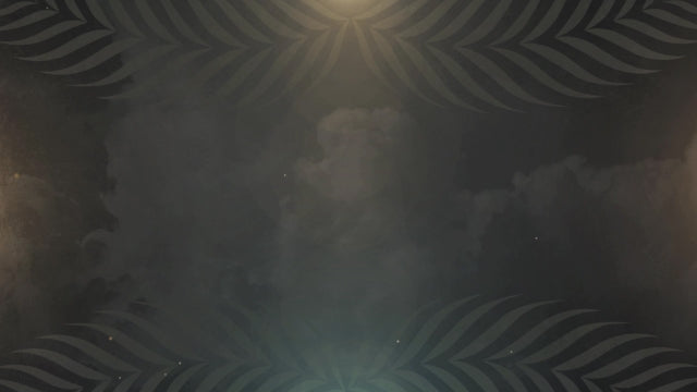 Vintage Palm Sunday Motion 04