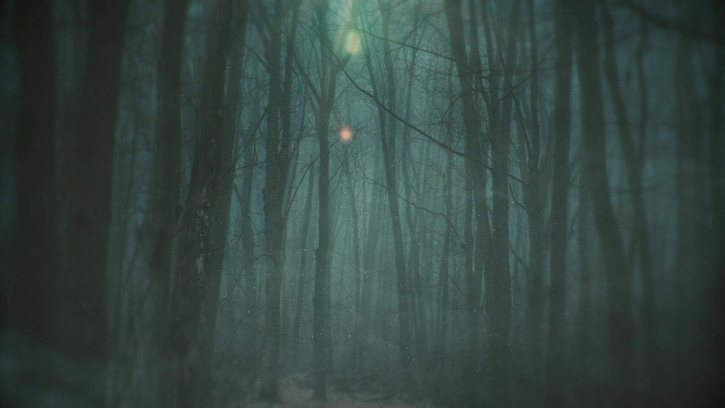 Moody Autumn Foggy