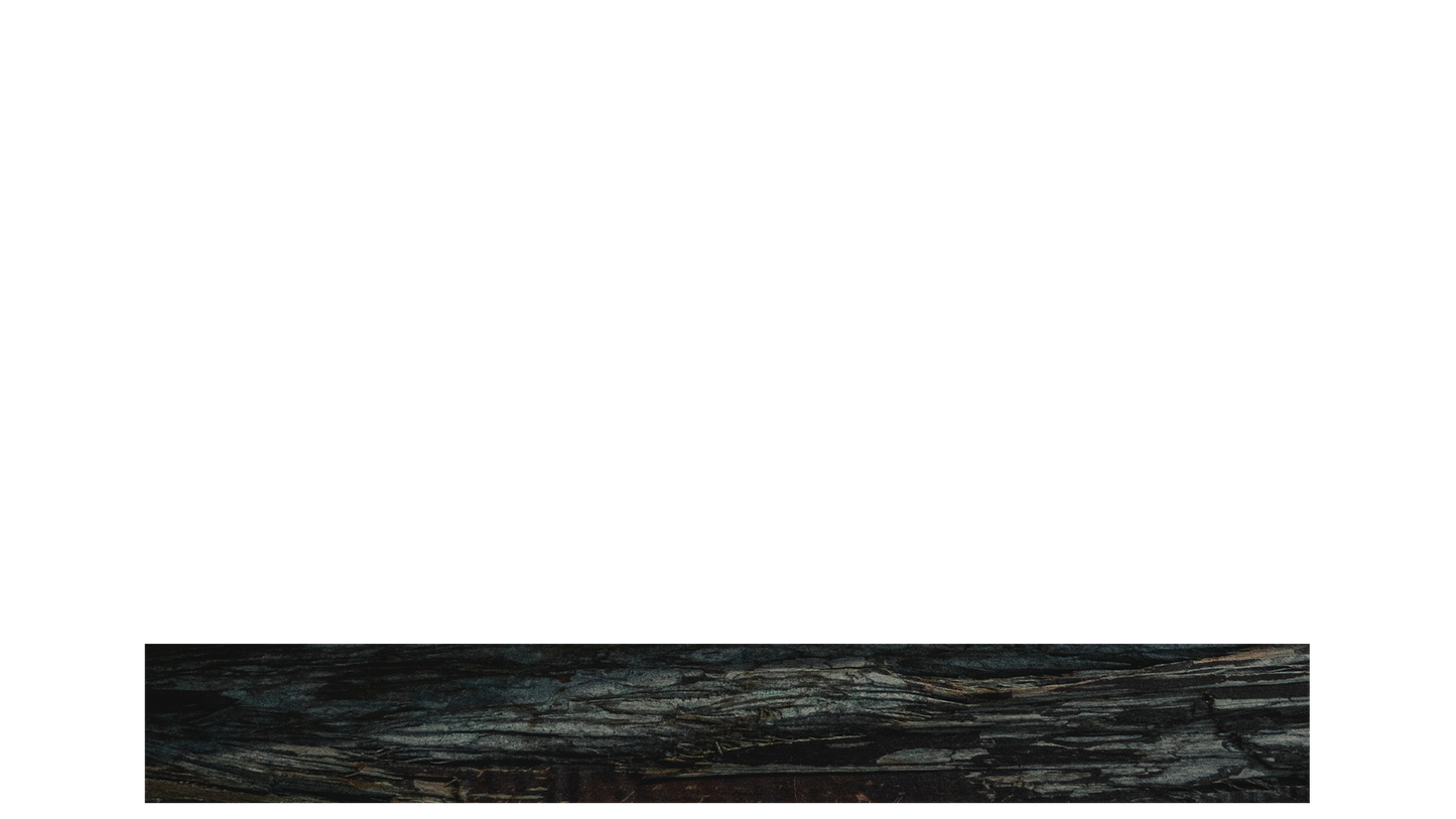 Winter Woods Lower Third Full Blank