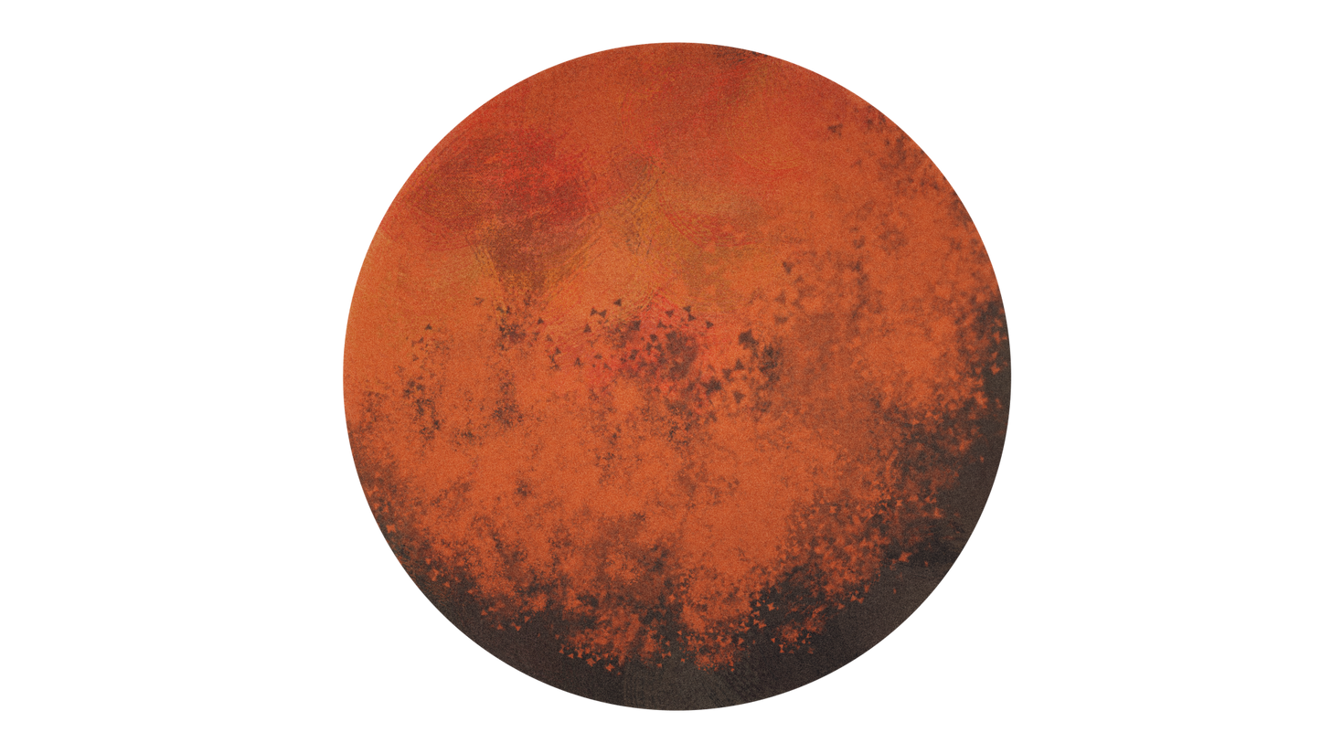 Painted Cosmos Circle 01