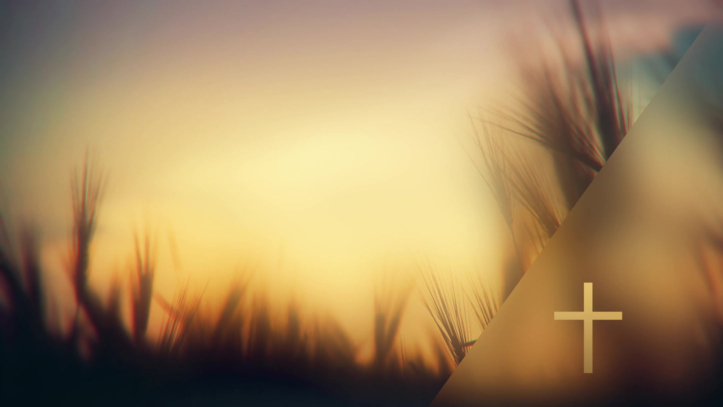 Days End Growth Cross