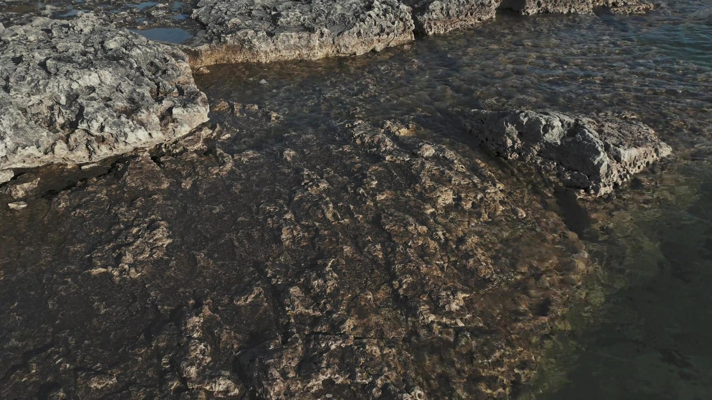 Northern Shores 11