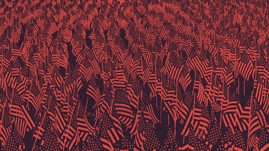 Veterans Day Red Flags