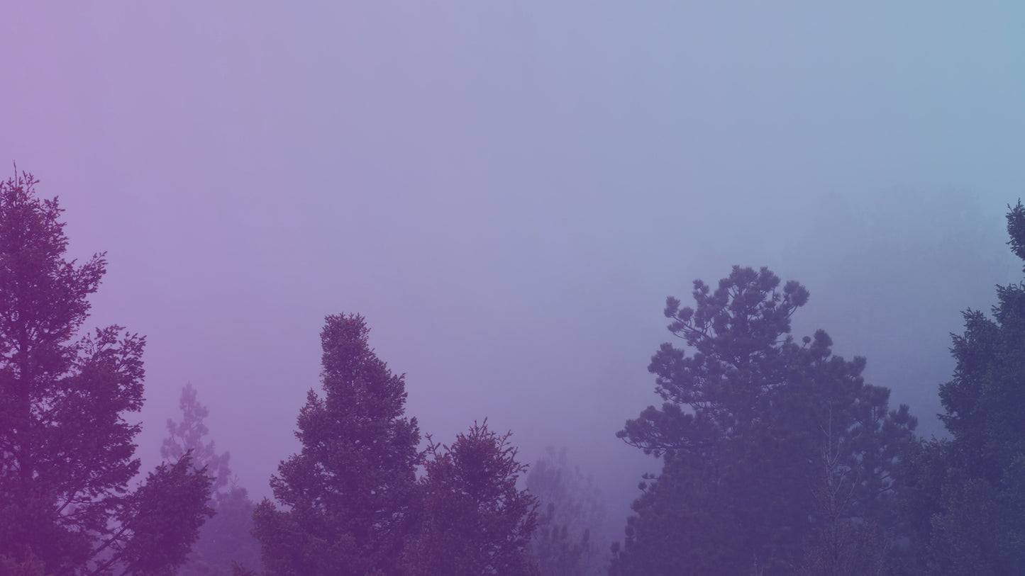 Misty Forest Cool