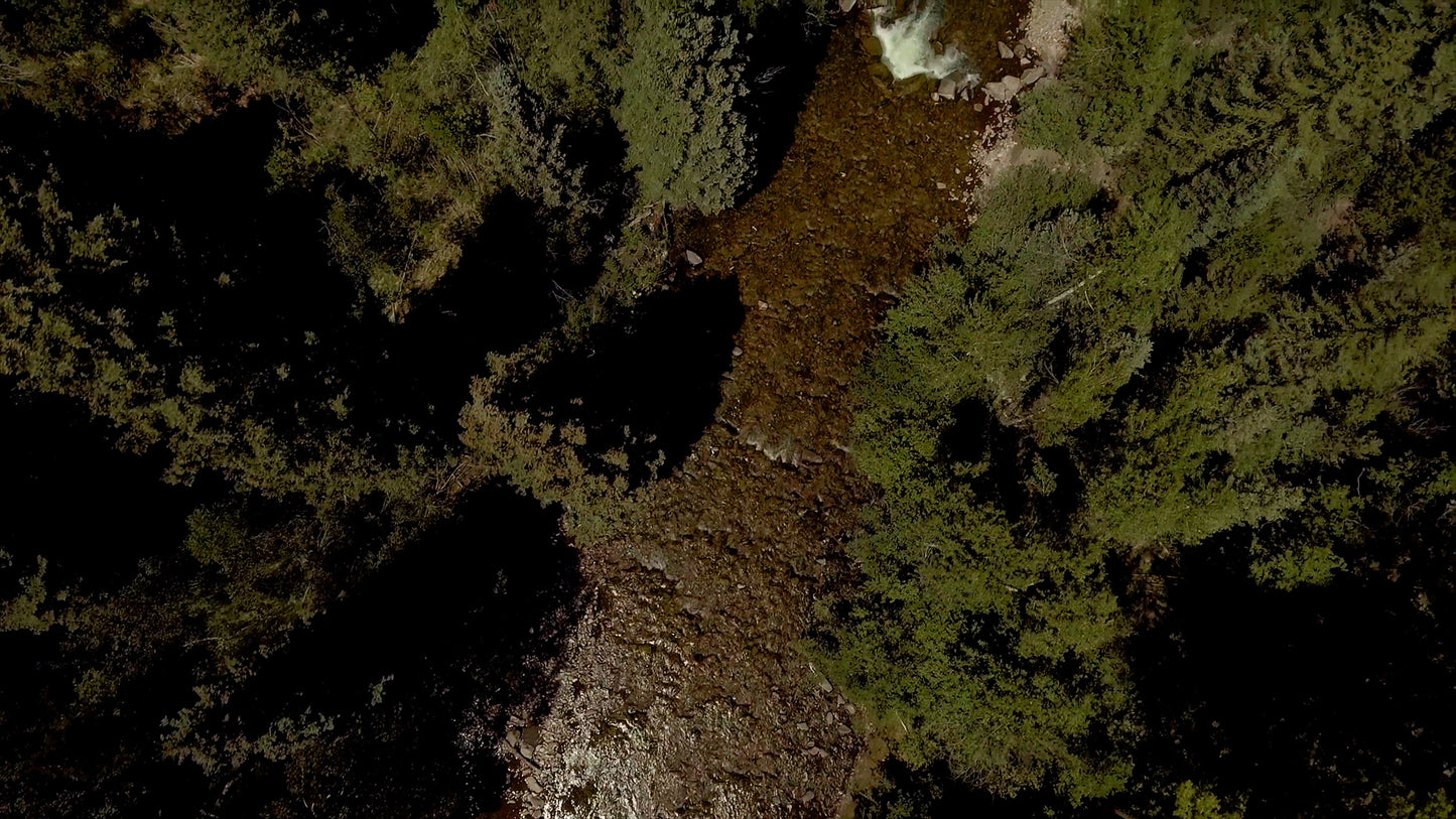 Aerial River