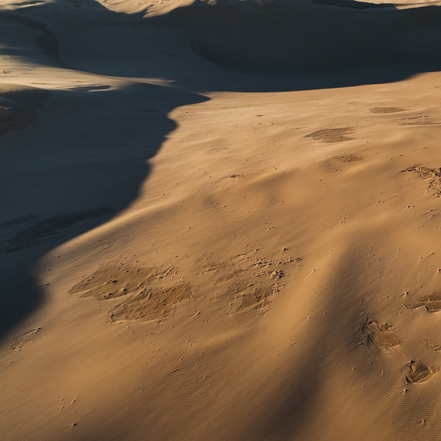 The Dunes Online