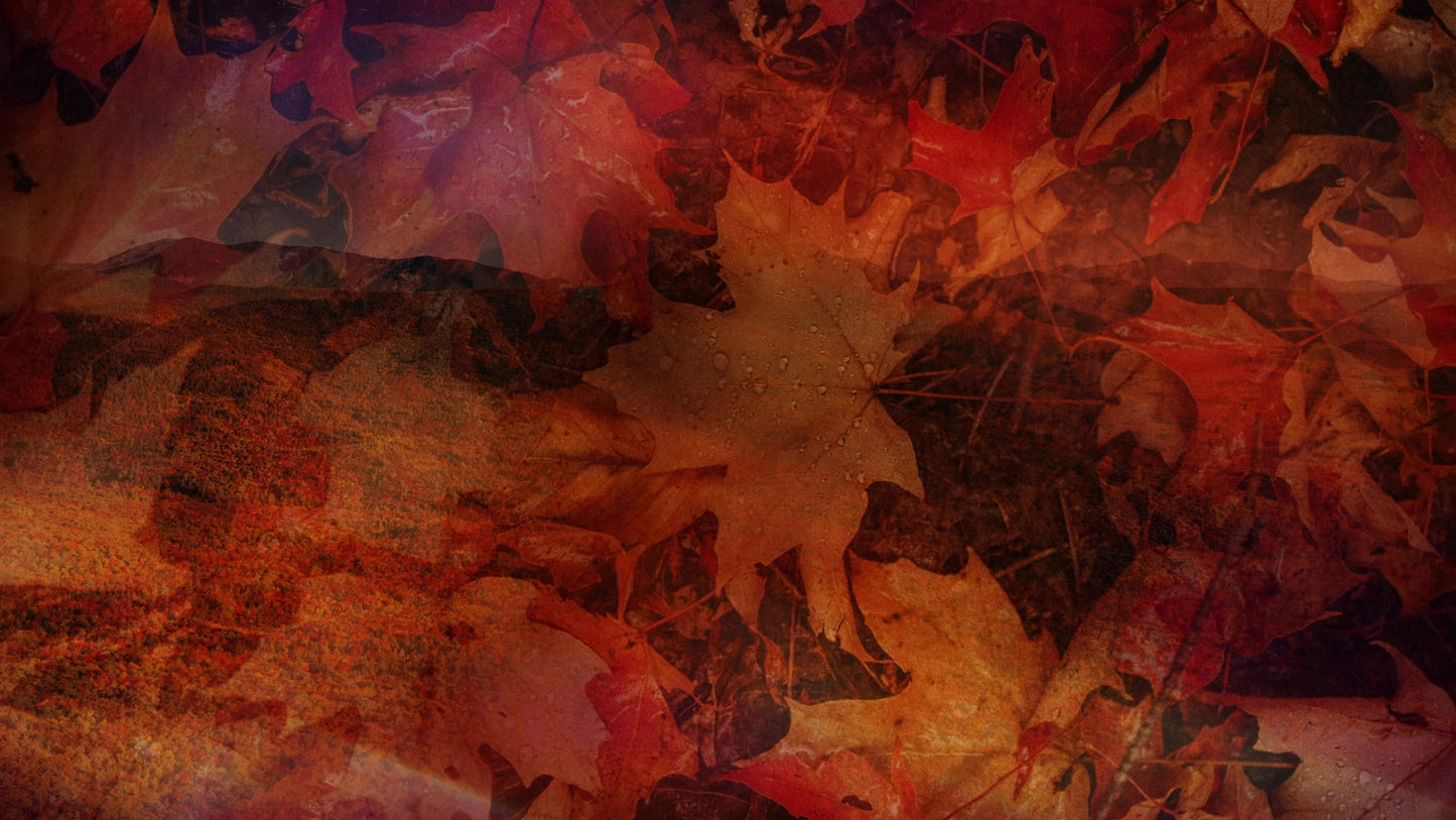 Subtle Fall 02